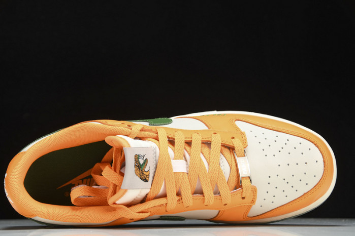 florida a&m x nike dunk low dr6188-800